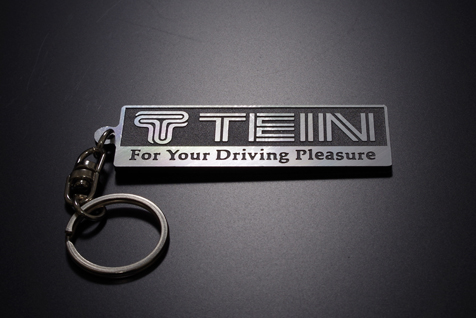 TEIN LOGO PLATE KEY CHAIN picture2